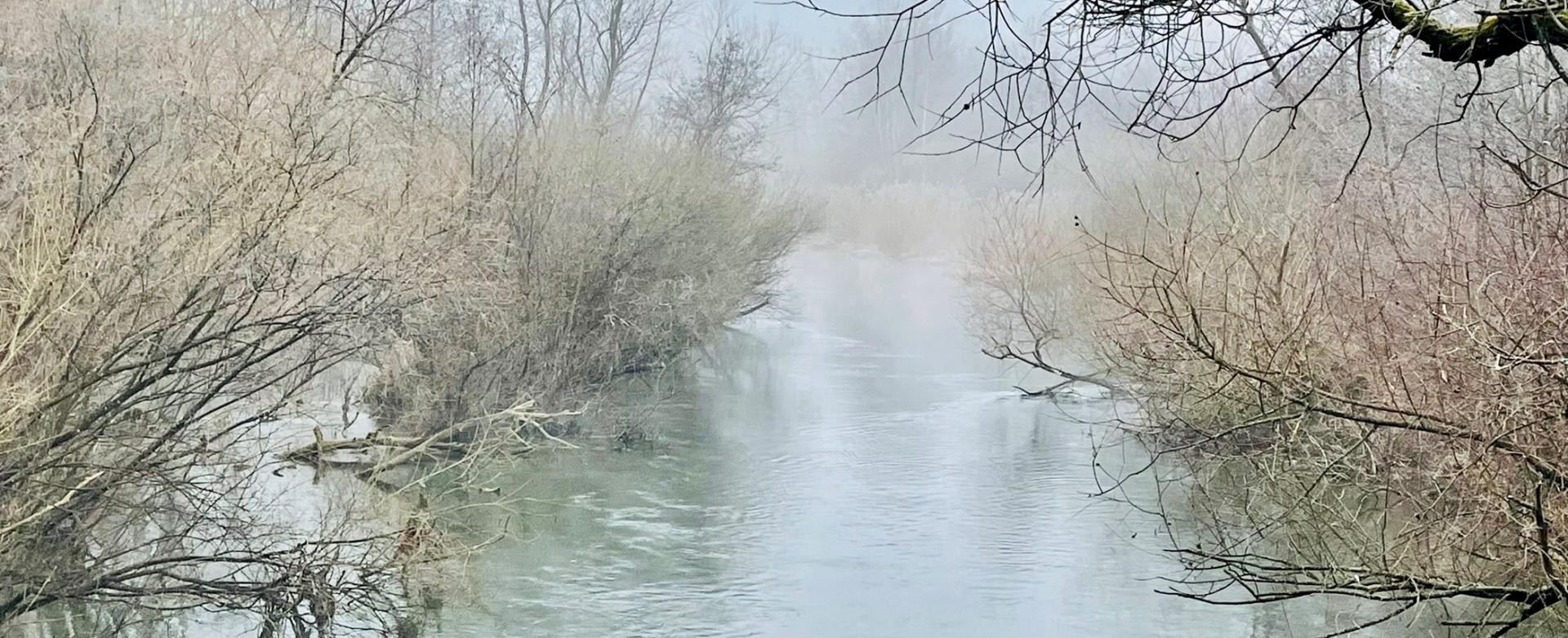 Stocherkahnfahrt im NSG Taubergießen Menschen sitzen auf einem Stocherkahn, der optisch rechts ins Bäume gelenkt wird, das Gewässer ist von herbstlich gefärbten Bäumen umgeben, links aus dem Bild schwimmt ein Schwanenpaar