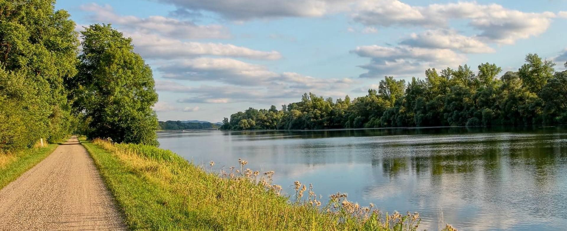 Leopoldskanal Feldweg, links eine Baumgruppe, in die der Weg führt, rechts eine kleine Rasenfläche, ganz rechts ein Kanal, darüber weiße Wolken am hellblauen Himmel