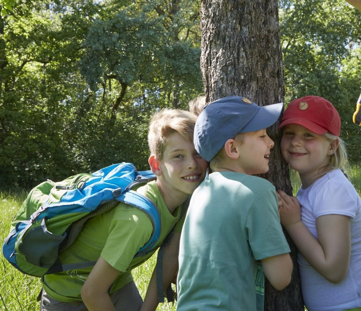 Drei Kinder gruppieren sich um einen Baum und hören an dessen Stamm