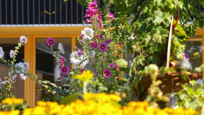 Elzwiesen Kindergarten_Außengelände Garten mit Blumen