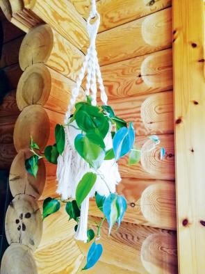 Makramee Makramee-Blumenampel aus weißer Wolle hängt vor einer Balkenwand, darin eine grüne Kletterpflanze