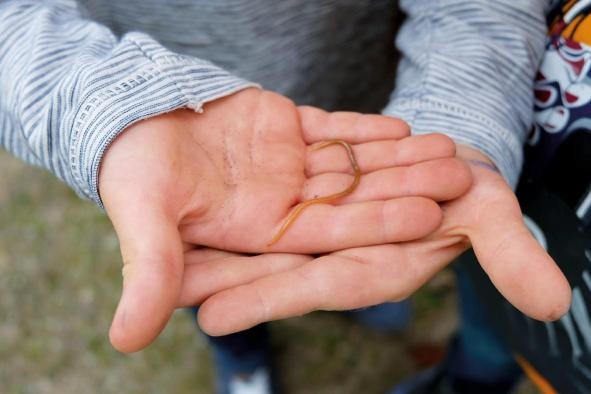 Im Boden ist was los Wurm in Kinderhänden