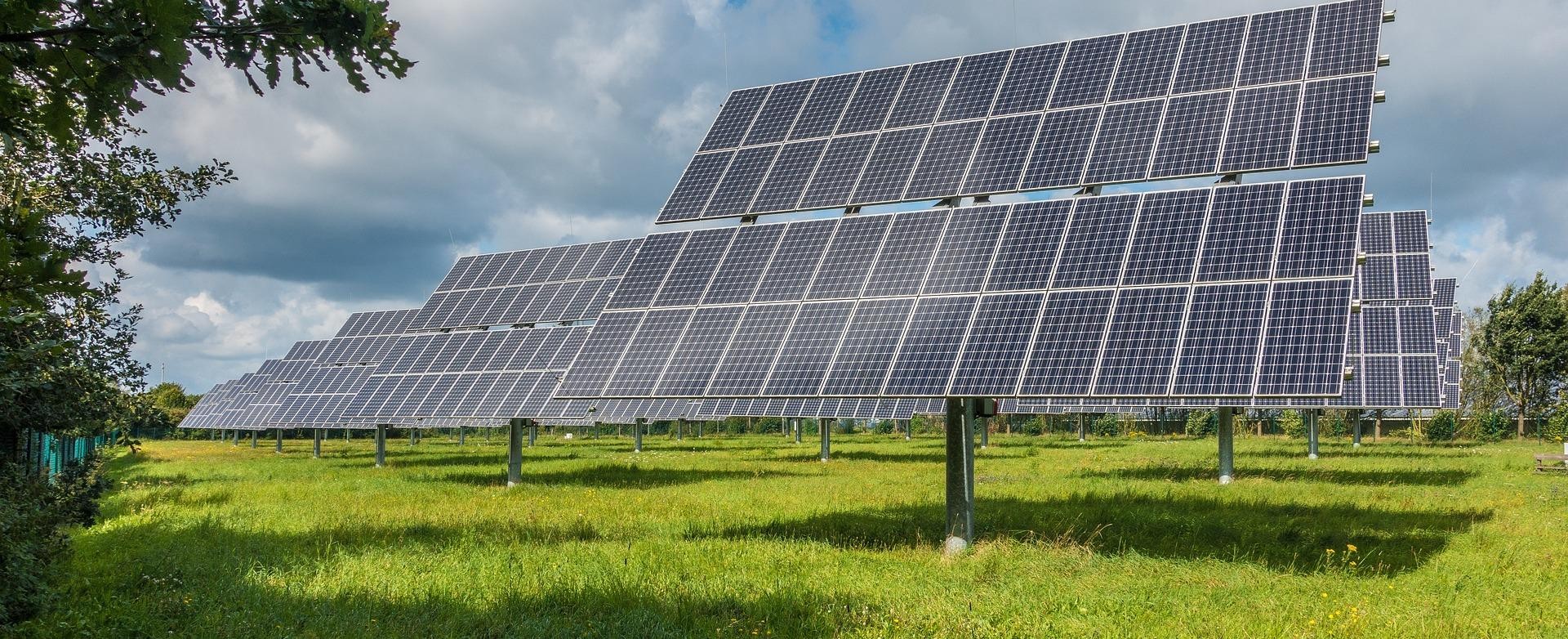 Photovoltaikanlage Mehrere Photovoltaikmodule auf Wiese