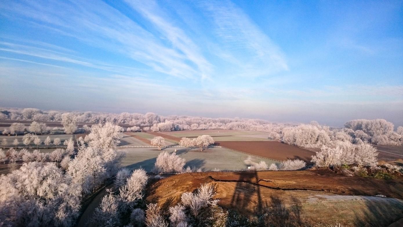 Altrhein Altrheinarme im Naturschutzgebiet Taubergießen von oben im herbstlichen Laub