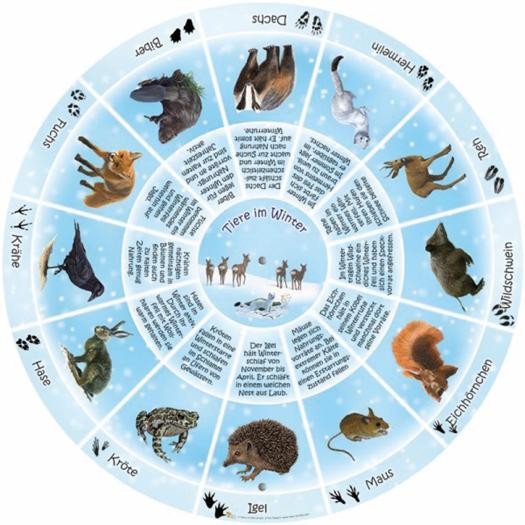 Tiere im Winter Eine Art Uhr, in deren Zahlenverlauf verschiedene Tiere angelegt sind und deren Verhalten im Winter erklärt wird