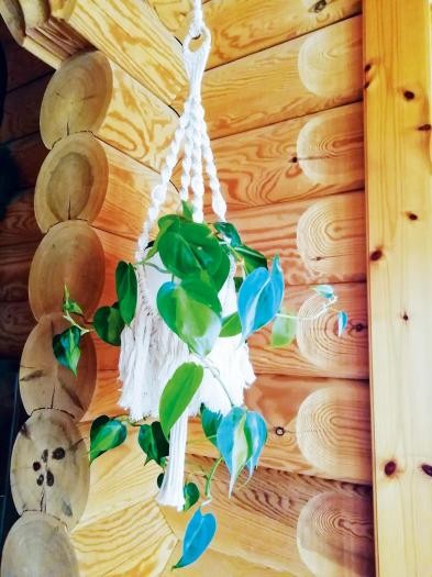 Makramee Makramee-Blumenampel aus weißer Wolle hängt vor einer Balkenwand, darin eine grüne Kletterpflanze