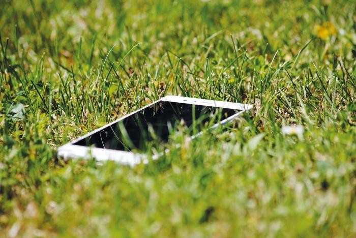 Naturdetektive Ein weißes Smartphone liegt im Gras