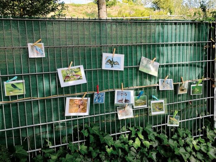Tiere im Visier Verschiedene Infobilder hängen am Zaun des Klimawandelgartens im Naturzentrum Rheinauen