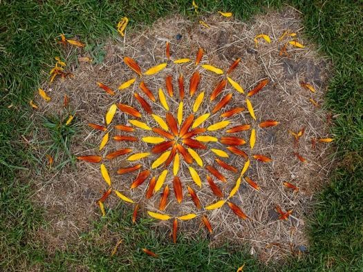 LandART Mandala auf dem Boden, gelegt aus Samen und Blüten