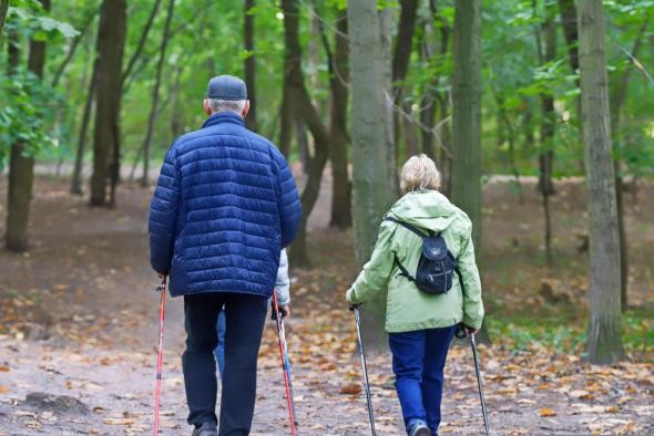 Seniorenwanderung Ein älterer Herr und rechts neben ihm eine ältere Frau laufen an Nordic-Walking-Stöcken einen Waldpfad entlang. Er trägt eine blaue Steppjacke, sie eine lindgrüne Allwetter-Jacke