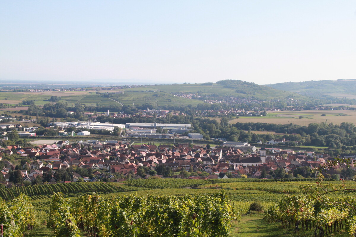 Blick auf Marlenheim